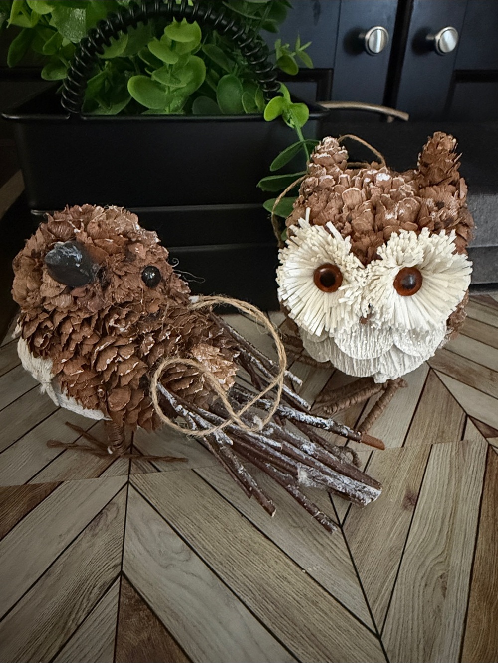 Holiday Lane Set of 2 Bird and Owl Ornaments